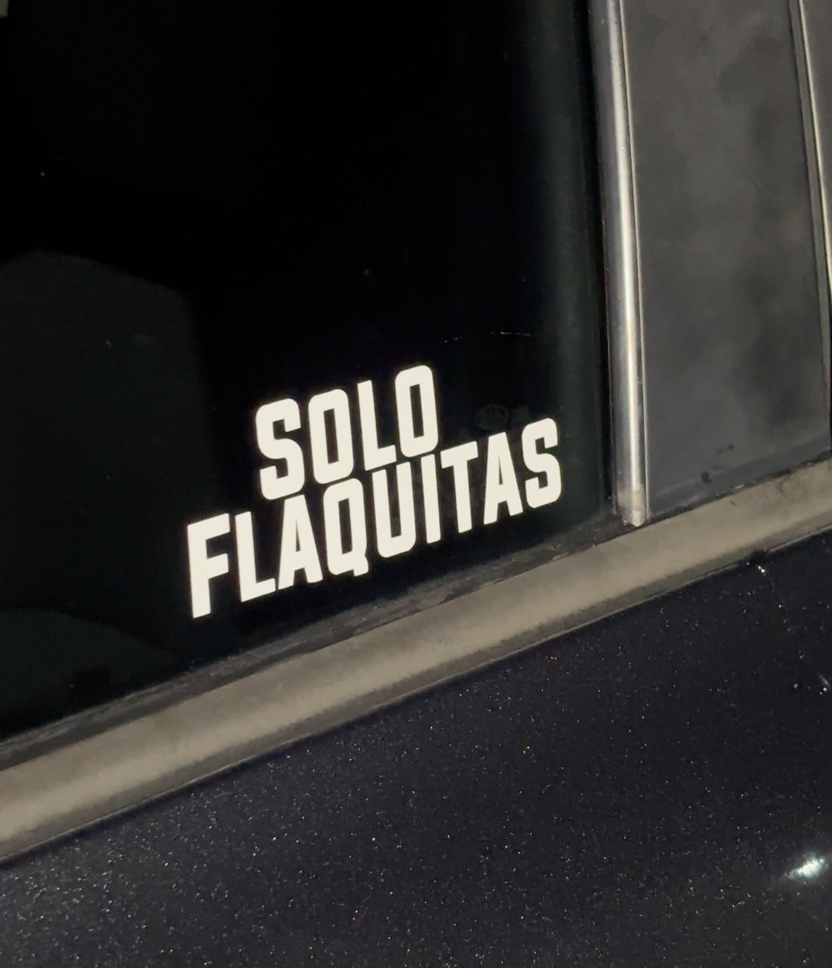 Solo flaquitas sticker